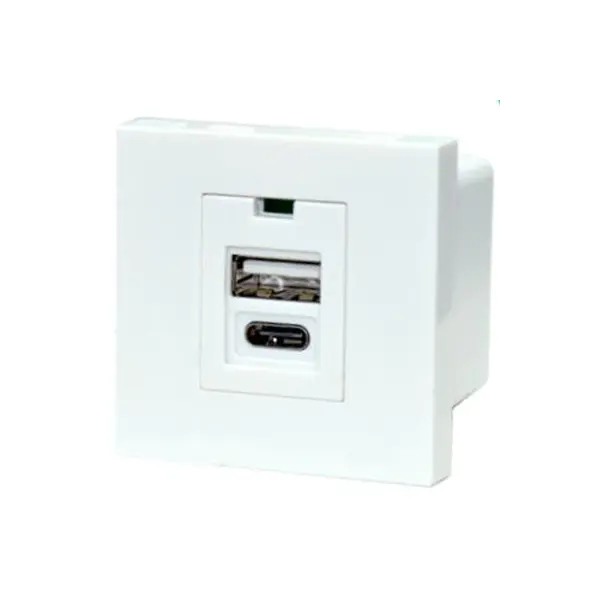 Ụdị Port TypeA+C Usb Charger Socket Module